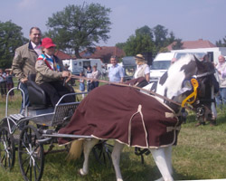 Britt Dallmann wurde Landesmeisterin der Nachwuchsfahrer im Einspännerfahren.